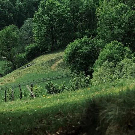 Kacara Vodenicko Brdo بيت ضيافة 3*