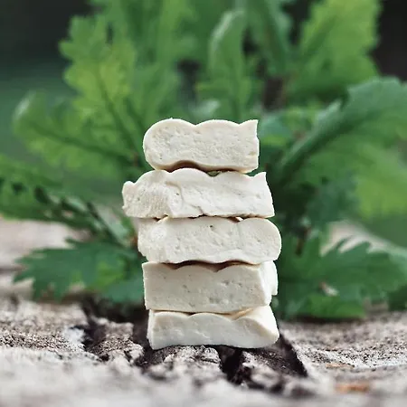 Kacara Vodenicko Brdo