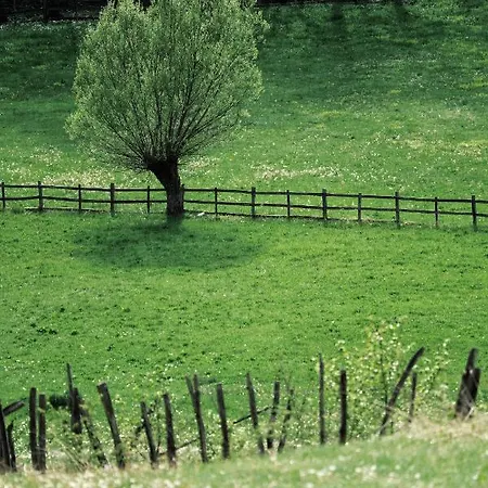 Kacara Vodenicko Brdo 3*