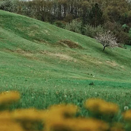 Kacara Vodenicko Brdo