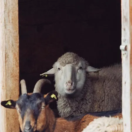 بيت ضيافة Kacara Vodenicko Brdo