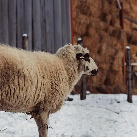 Kacara Vodenicko Brdo 3*